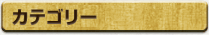 カテゴリー